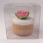 Clear acetate cupcake box